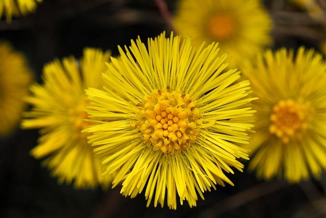 g8a5b4d834c120e6eaa50d43462cbe734257f2d8fcc5c5c46b710b9ad5b7c484d0944be737ba7c59d137b3f98cd476acf_640-9491300 Global Alliance for Pharmaceutical & Toxicological Research (GAPTR)